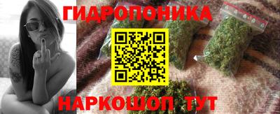 шишки Славянск-на-Кубани