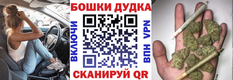 Бошки Шишки семена наркошоп ссылка на мегу зеркало Партизанск