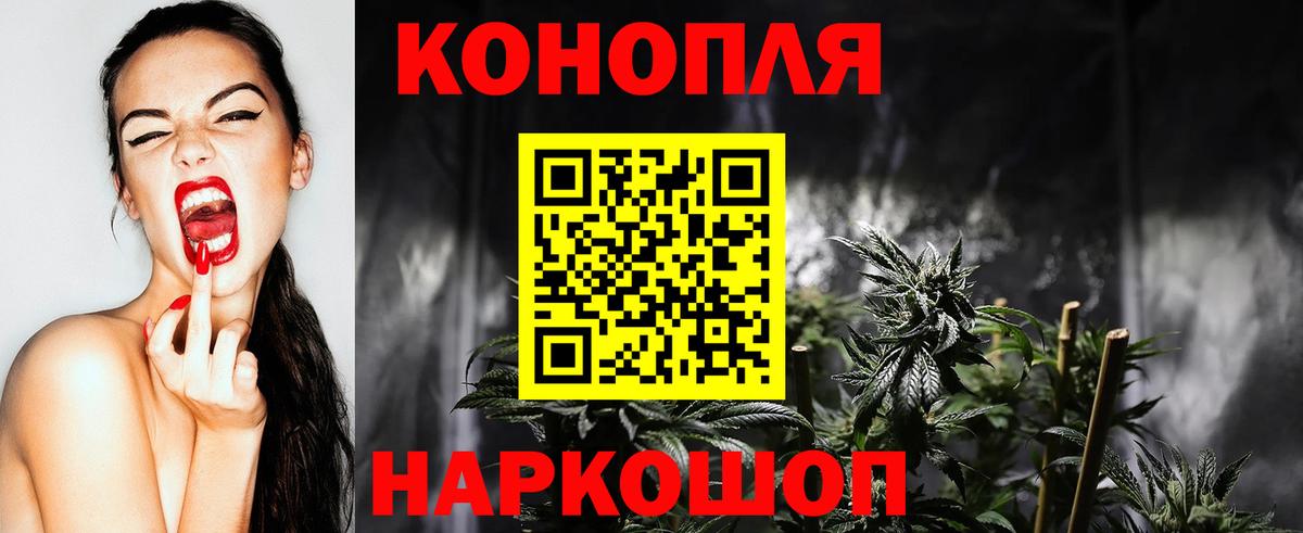 Конопля гибрид  Каннабис сатива  Вход с VPN  Конопля Amnesia  Партизанск 